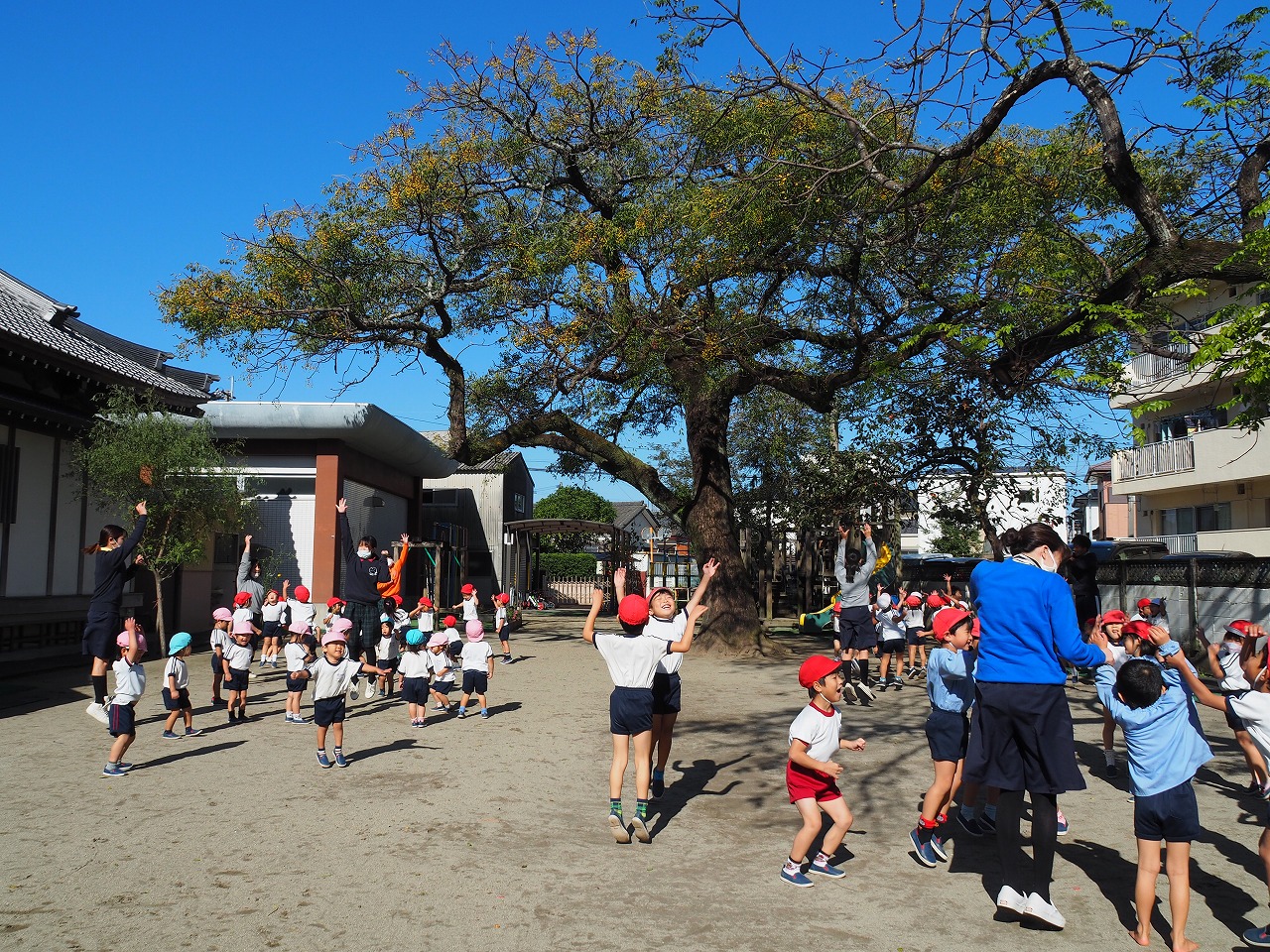 １１月４日の様子