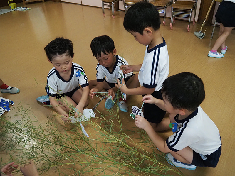 ６月３０日の様子