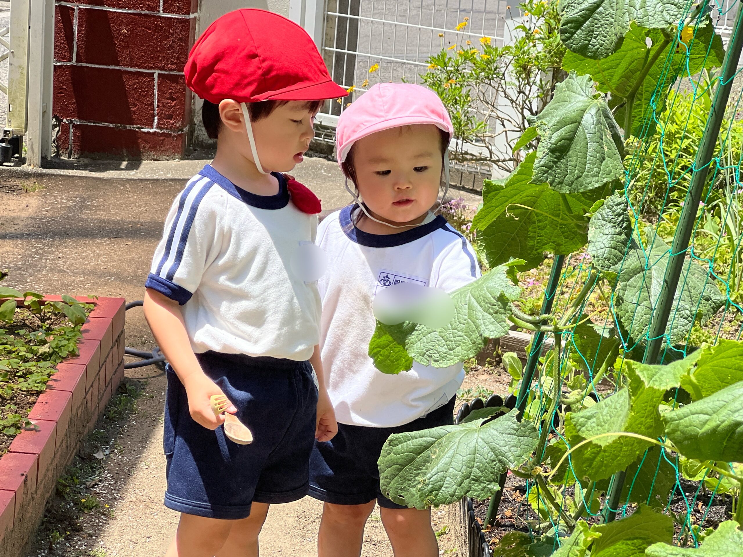 5月12日の様子。